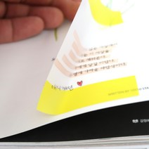 애니캐넌 반투명 포스트잇 투명 점착 메모지 접착 인덱스 필름 롤타입 플레그 공시생 플래그, 롤타입 빨강(4m)