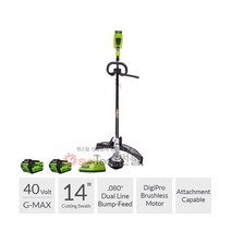 그린웍스 G-MAX 40V 충전 예초기 (투팩/2팩) 충전식 세트, 40V 예초기(투팩)-일반