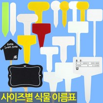화분 이름표 - 식물 라벨 푯말 사각 원형 칠판 이름표 꽂이 칼라 컬러 분갈이 네임텍 T자 일자, 10_이름표_사각2호(흰색/100개)