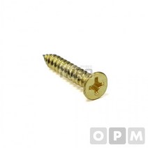 AD)신주도금 접시머리스크류볼트 봉지판매 3x10 2000EA