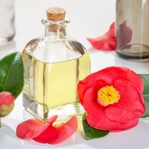 동백유 500ml 케리어 오일