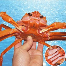 [장군수산] 속초 홍게 실속형 3kg 외 고급형 명품형 찜 후 포장, 1box, 0C. 홍게 명품형 3kg( 찜후 포장 발송)