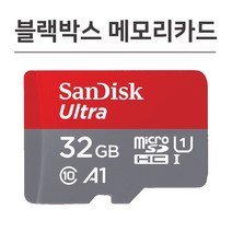 샌디스크 파인드라이브 탱크 블랙박스 메모리 32기가 SD카드, 32GB