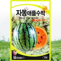 자몽애플수박 씨앗 수박 씨 종자 10립, 1개