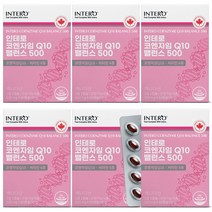 인테로 코엔자임Q10 코큐텐 30g, 60정, 6개