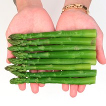 새우몰 냉동 아스파라거스 1kg (250g x 4팩)