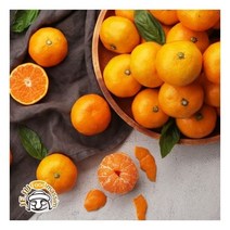 블루제주 서귀포 노지감귤 4.5kg (로얄과/실중량)