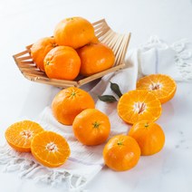 제주 레드향 5kg 10kg 3kg 가정용 선물용 세트, 레드향 가정용 10kg, 1개