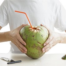 야채탈수기 음식 짤순이 오이지 탈수기 신선한 녹색 물을 여는 스테인레스 스틸 오프너 사용하기 쉽고 안전한 실용적이고