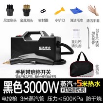 자동차 스팀청소기 기름 묵은때 고온 고압 탈취 세차, 3000w 블랙