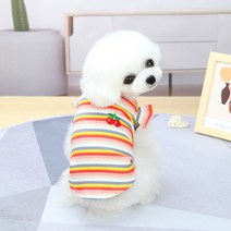 강아지옷 고양이옷 데일리 티셔츠 외출복 애견옷 실내복, [1-2] 솜사탕 치마