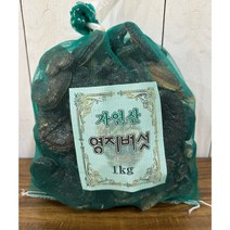 국내산 자연산 영지버섯 1kg (중-소 혼합), 1개