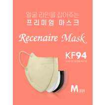 리세나르 프리미엄 KF94 2D 새부리형 컬러마스크 중형 120매 개별포장 식약처 인증 더마테스트 보건용 마스크, 베이지