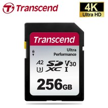 트랜센드 SONY 소니 FDR-AXP55 / FDR-AXP35 캠코더전용 256G SD메모리카드 Class10 4K촬영지원, 256GB