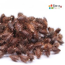 국내산 창이자 도꼬마리 200g, 단품