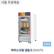 부성 BMGF8 아이스크림냉동고 냉동쇼케이스