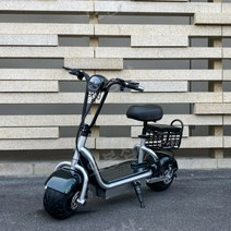 앉는 킥보드 가벼운 자출용 접이식 출퇴근 경량 휴대용, 48V, 20A 배터리 70km-유로피안 화이트