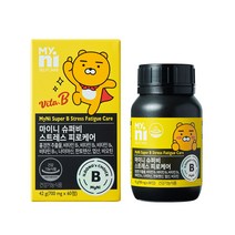 마이니 일동제약 스트레스케어비 비타민B군 나이아신 비오틴 홍경천 활력 에너지 지친몸 피로 자신감 체력 직장인 에너지영양제, 2box, 700mgx60정