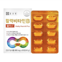 종근당 활력비타민B 플러스 총 120정 총 120정 총 4개월분 활력 충전 비타민 B군 체력관리 체내에너지 생성 도움 영양제, 1개