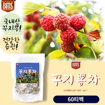 커피 대신 마시는 구지뽕잎 열매 100% 꾸지뽕 60티백 부모님 지인 선물 디 카페인 없는 삼각티백 첨가물 없는 구찌뽕 잎 침출 차 효능 마시는 건강 관리 중년 50대 60대 추천