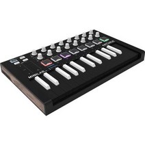Arturia MiniLab Mk II 반전 휴대용 USB MIDI 컨트롤러 블랙USB 허브 포함