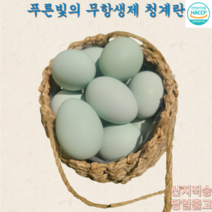 청란 청계 초란 무항생제계란, 20개