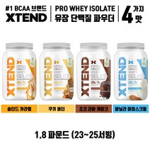 싸이베이션 Scivation 엑스텐드 Xtend Pro Whey Isolate 프로 웨이 단백질 파우더 1.8lbs / 5lbs 다양한 맛 4종, 초코 라바 케이크, 1.8파운드 1개입