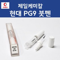 현대 PG9 판테라그레이 384 붓페인트 붓펜 카 페인트 자동차, 1개