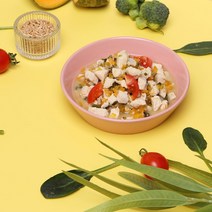 강아지화식 오플 [컴페니언/토이독] 닭고기 습식 위클리 밀키트 750g