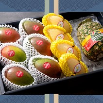 [과일선물세트]프리미엄 애플망고6과+태국망고4과+허니글로우1수