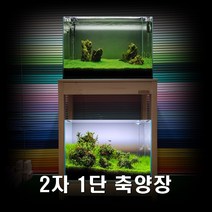 나무친구들-축양장 원목축양장 2자1단축양장 어항선반 수족관받침대 wf-694585