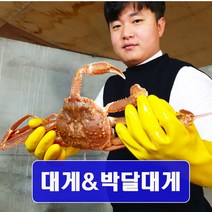 [예님푸드] 제철수산물 구룡포 산지직송 대게 중 1마리(생물), 단품