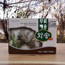 식용와송 농축 진액 엑기스 국내산 먹는와송즙 원액 기와솔 100ml 60팩