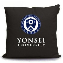 연세대 로고 엠블럼 쿠션 등쿠션 소파 베게 대학교 학원 학생 선물 판촉물 기념품 사은품, 45cm, 패턴 7