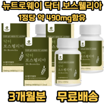 뉴트로웨이 닥터 보스웰리아 1000 식 약 처 인증 인도산 결정 셀룰로오스 우슬추출 분말 초록입홍합분말 히알루론산 혼합분말 엽산 산화아연 비타민 푸마르산제일철, 3개