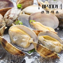 통영 왕바지락 해감 바지락 술찜 칼국수 조개탕, 바지락 1kg, 1개