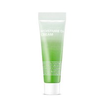 아이소이 모이스춰 닥터 크림(장수진수분크림) 45ml, 1개