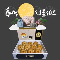 프리미엄 나주배 7.5kg 과일선물세트, 프리미엄 특특품 나주배 7.5KG 8~10수