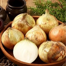 eTV [우수평점]23년 국내산 창녕/함안 햇 양파 5kg (특), 특5kg(1개), 1