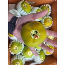 햇단감 창원 태추단감 고당도 배 단감 식감 배감, 5kg(22과내외), 1개