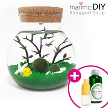 LED어항 350ml세트-마리모 1cm 유리자갈 그린 diy 키트, 1개