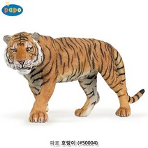 호랑이 모형 관찰학습 어린이집 완구 유아완구 동물학습 피규어