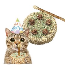 캣완트 마따따비 생일케이크 NF127 고양이장난감, 단품