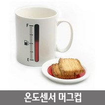 재미있는 생활과학 온도에 따라 색깔이 변하는 센서 머그컵 실험실 과학수업