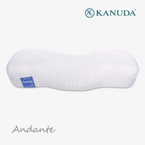 [가누다베개] 블루라벨 안단테 단품 메모리폼 경추베개