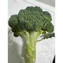 [림다준] 국내산 신선한 브로콜리 특품 8kg 내외