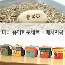 키우기쉬운식물 미니 페이퍼화분 행복메시지콩 미니화분 식물인테리어 화분 거실화분 인테리어화분, ▷▶＜상품--상품선택＞◀◁