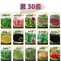 콩 씨앗 완두콩 종자 강낭콩 호랑이콩 곡류 곡물 옥수수 채소 씨 농사마트, 28. 카보(초당옥수수) 100립, 1개