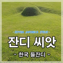 한국잔디씨앗 20g-3개(3평방미터용)잔디씨 산소 정원 공원 골프장
