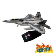 가변형 전투기 탑건 매버릭 톰캣 날개 모형, 1/100 F22 비스트 패턴